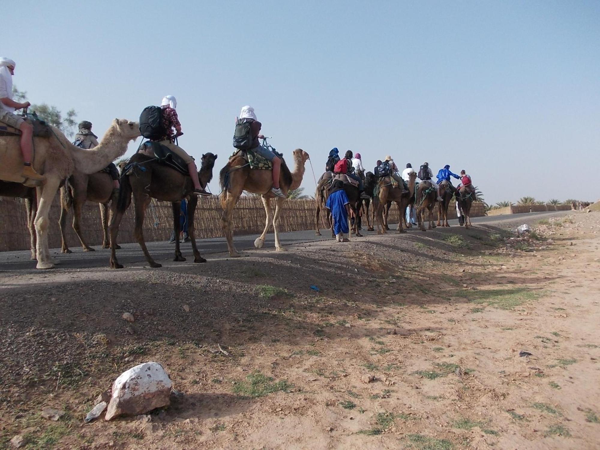 Bivouac Draa Hotel Zagora Bagian luar foto